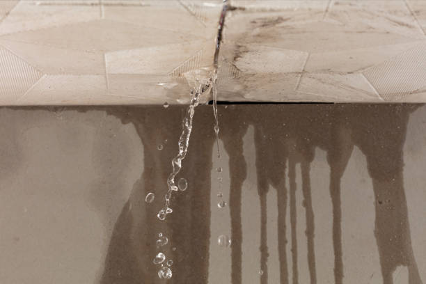 Professional Burst Pipe Cleanup technician working in Lehigh, IA